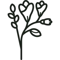 picto fleurs
